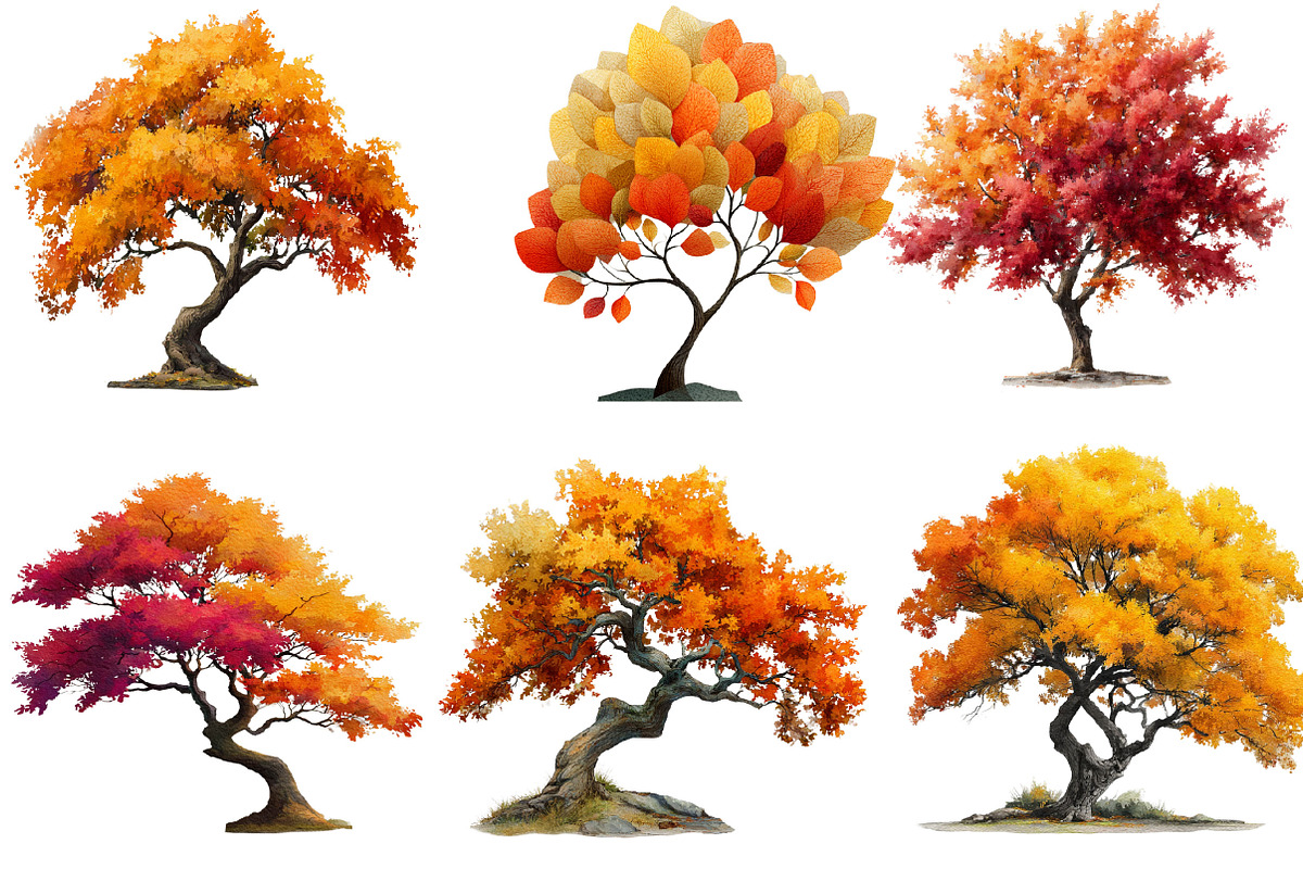 Watercolor Autumn Tree PNG Clipart, a Seasonal Illustration by SVGArt (Photo 4 of 5)