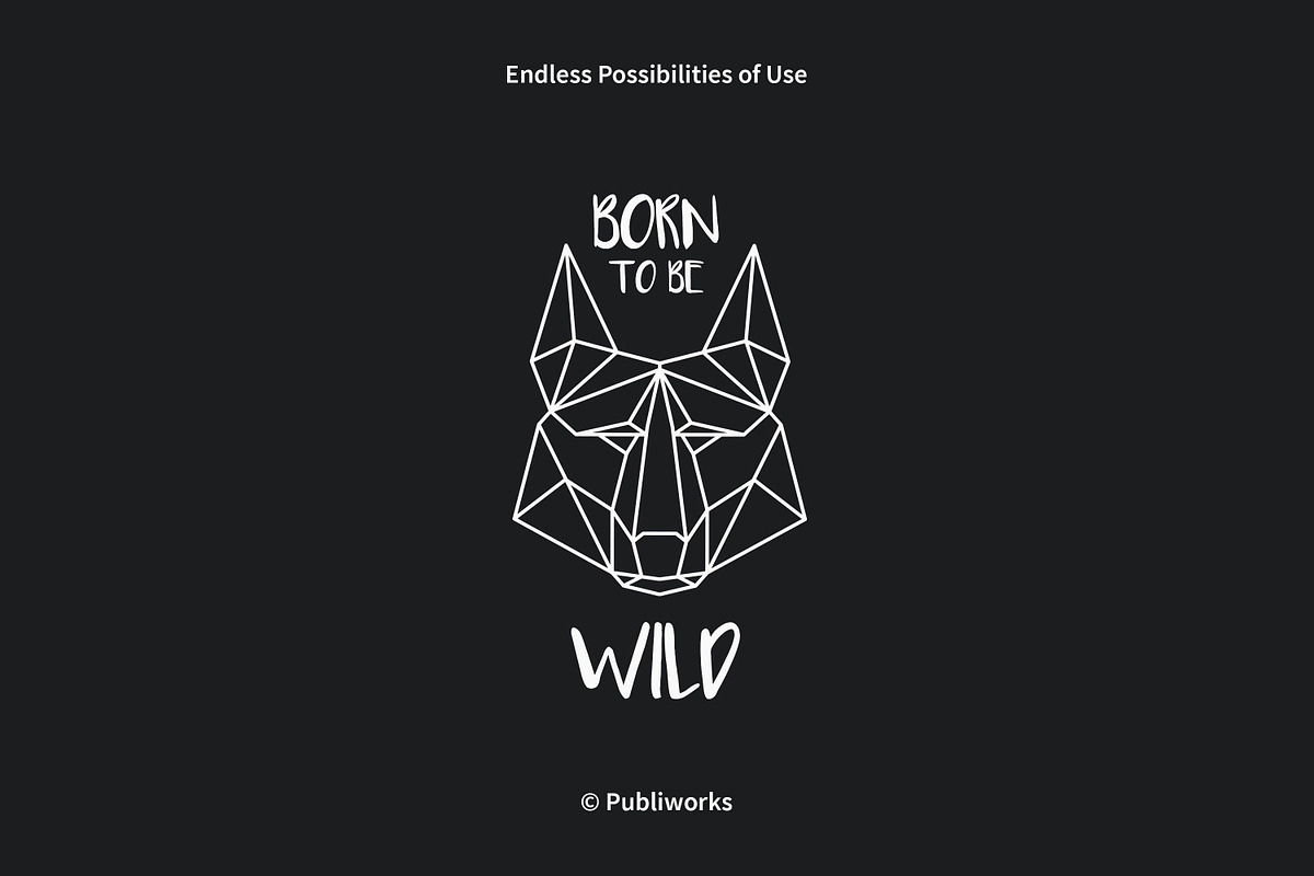 Geometric Vector Animals, an Animal Illustration by Publiworks (Photo 5 of 6)