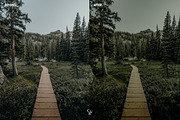 Cinematic Greens Lightroom Presets, a Preset Add-On by CVR Presets (Thumbnail 3 of 6)