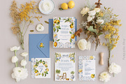 Mediterranean Citrus Garden clipart, a Decorative Illustration by Pamyatka Shop (Thumbnail 2 of 14)