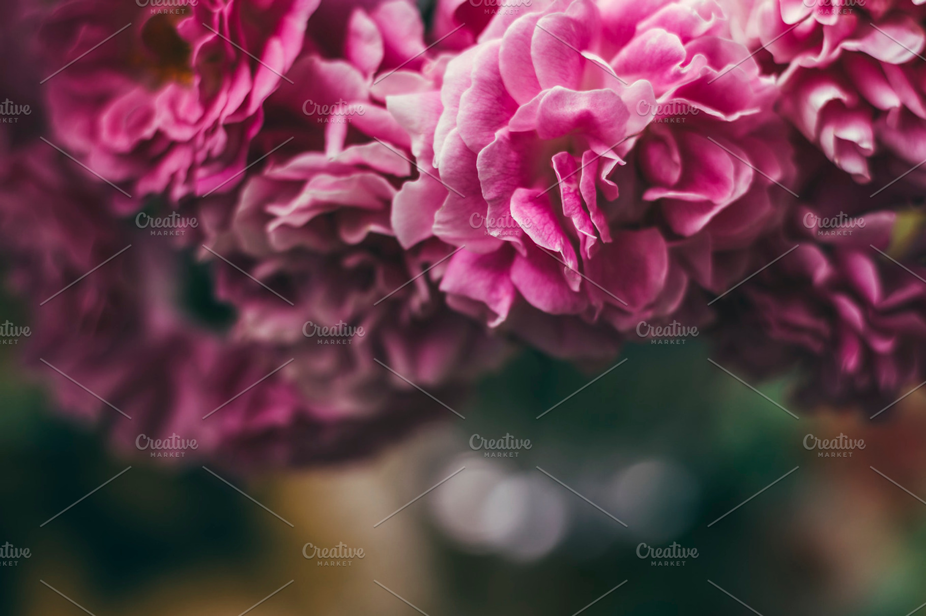 Floral background containing flowers, floral, and botanical, a Nature Photo by LidiaP