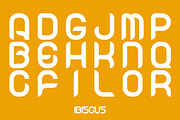 Ibiscus, a Handwritten Font by La Boite Graphique (Thumbnail 4 of 4)