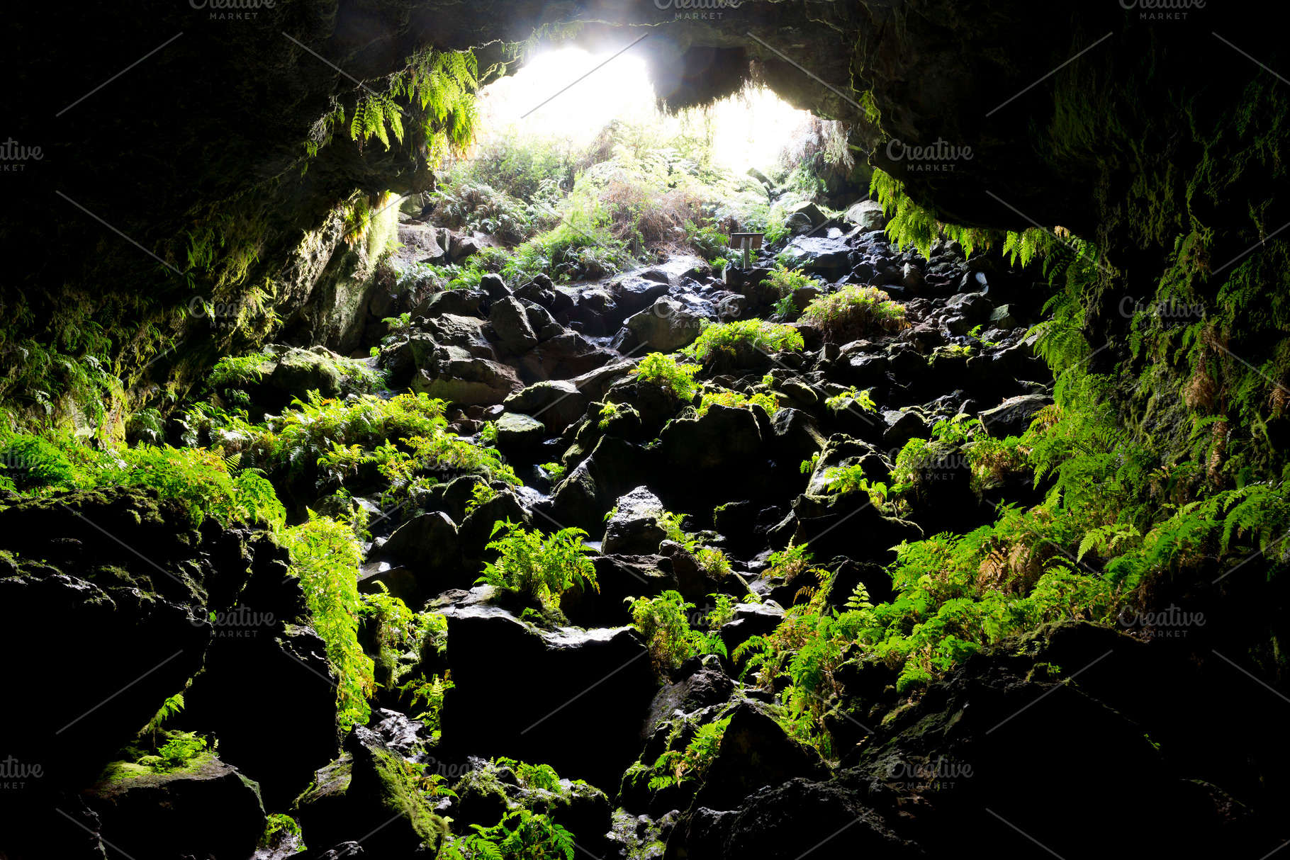 Cave Entrance, a Nature Photo by THP Creative