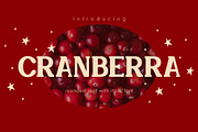 Cranberra - Rounded Serif Font, a Serif Font by Pikgura (Thumbnail 1 of 7)