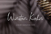 Winston Kohn Signature Handwritten, a Handwritten Font by UICreative (Thumbnail 1 of 6)