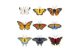 Butterfly Set Cartoon Vector