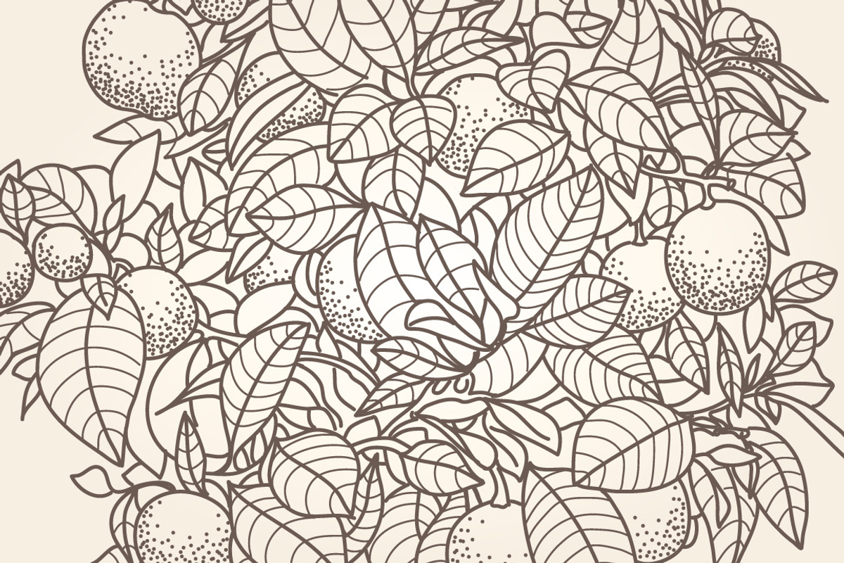 Vintage GARDEN for coloring pages, a Decorative Illustration by ekaart (Photo 4 of 10)