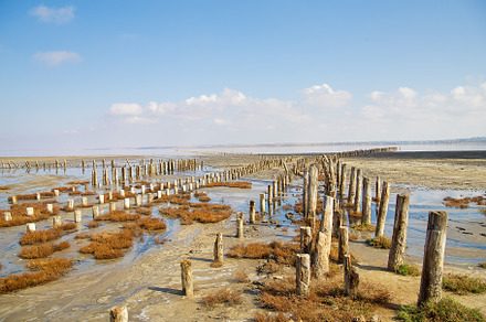 log in beach sand Kuyalnik Odessa, a Holiday Photo by Artsaba Family