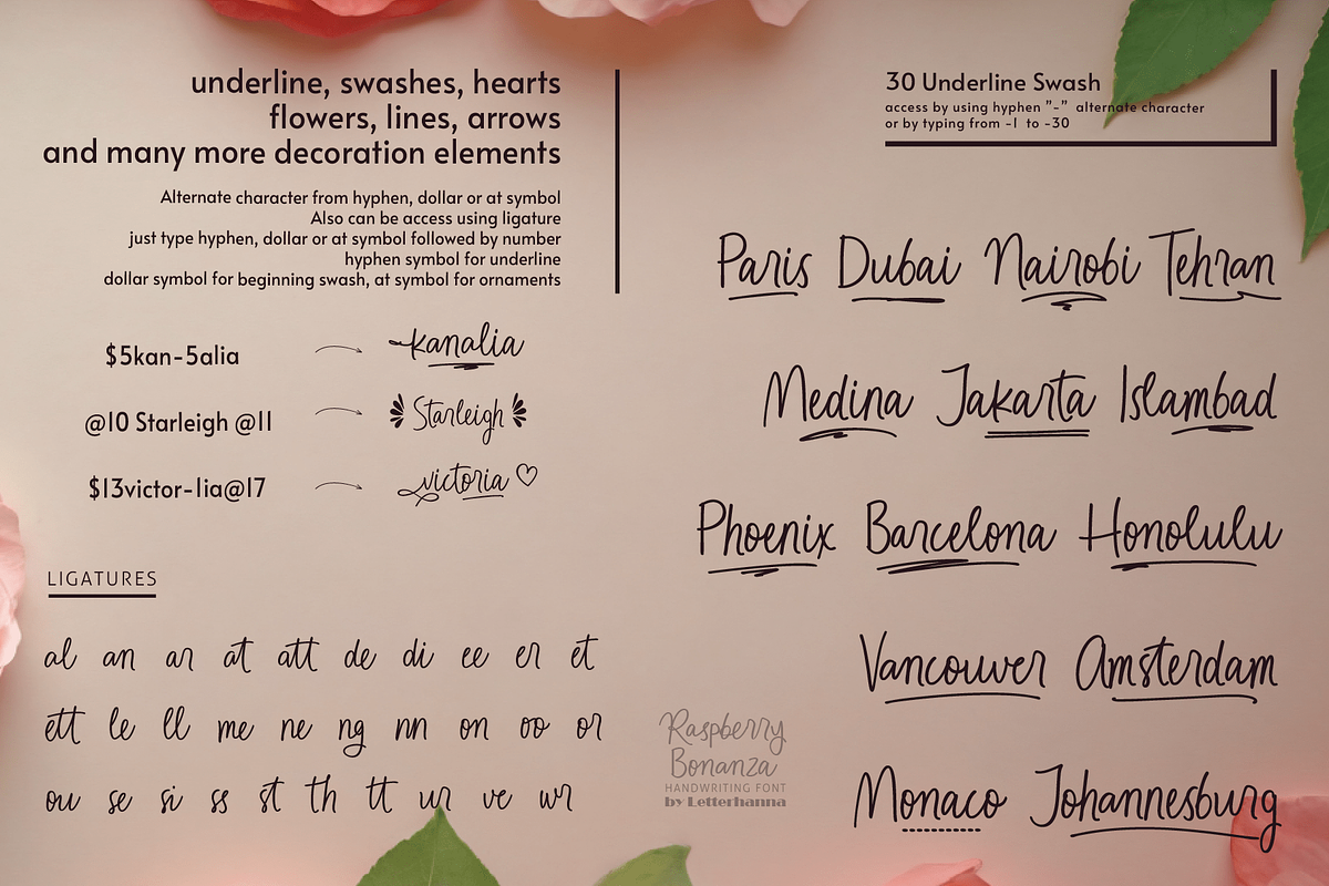 Raspberry Bonanza Quirky Handwriting, a Handwritten Font by Letterhanna Studio (Photo 4 of 10)