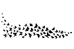 Flying Black Butterfly Silhouettes