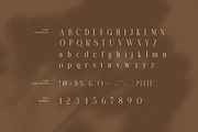Remla Elegant Serif Font, a Serif Font by Graphicxell (Thumbnail 7 of 8)