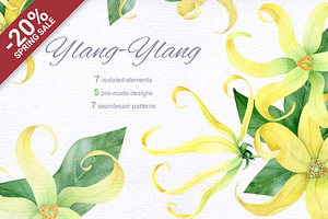 SALE. Ylang. Watercolor Collection