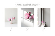 Pink Peony Bundle + 3 Bonus Images, a Nature Photo by Light & Grace (Thumbnail 3 of 8)