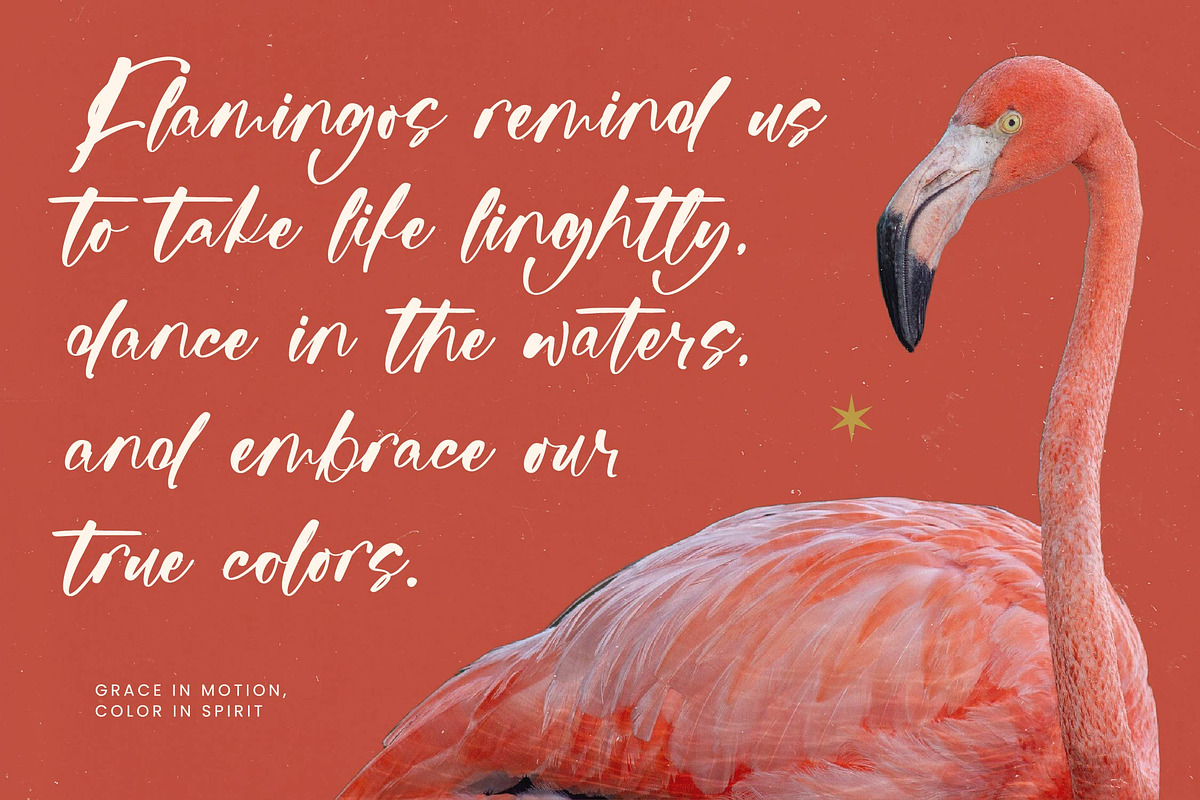 Raituly Chant Modern Handwritten, a Script Font by stylishtype.co (Photo 16 of 20)