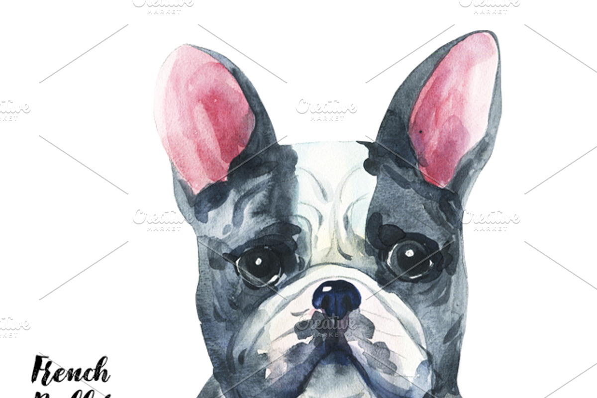 Breeds of dogs - watercolor. Part 1, an Animal Illustration by KatBranchArt (Photo 2 of 5)