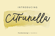 Citrunella-a citrus flavored script, a Script Font by Pandanwangi (Thumbnail 1 of 8)