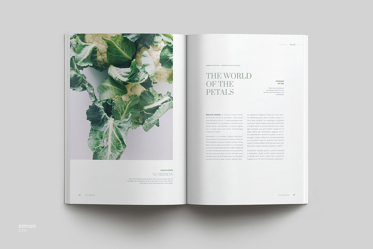ACADIA Brochure / Magazine, a Brochure Template by Type Here Studio (Photo 4 of 13)