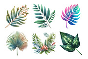 matching Tropical Leaves Bundle, an Illustration by Daily.Designs (Thumbnail 3 of 5)