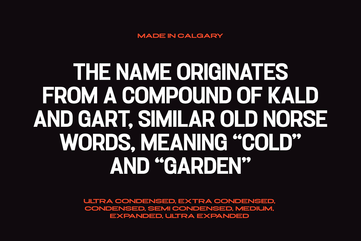 Calgary Display, a Font by grahampaterson (Photo 17 of 18)