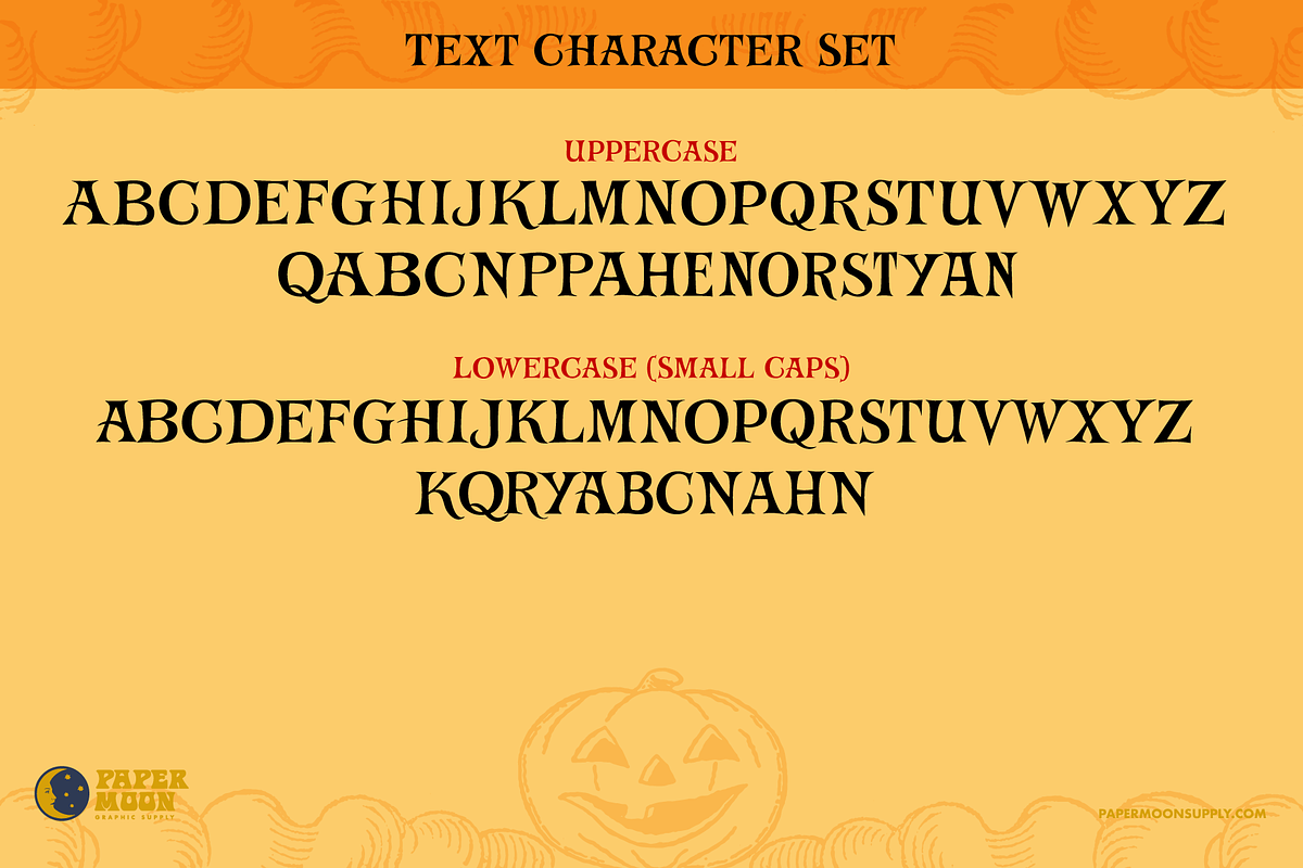 PM Aurora Casual Serif Font, a Serif Font by Paper Moon Graphic Supply (Photo 6 of 18)