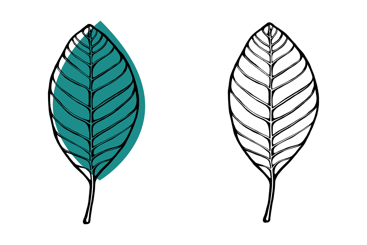 Vector Plant & Leaf Graphics, a Background Graphic by Dorey Kronick Art&Design (Photo 11 of 19)