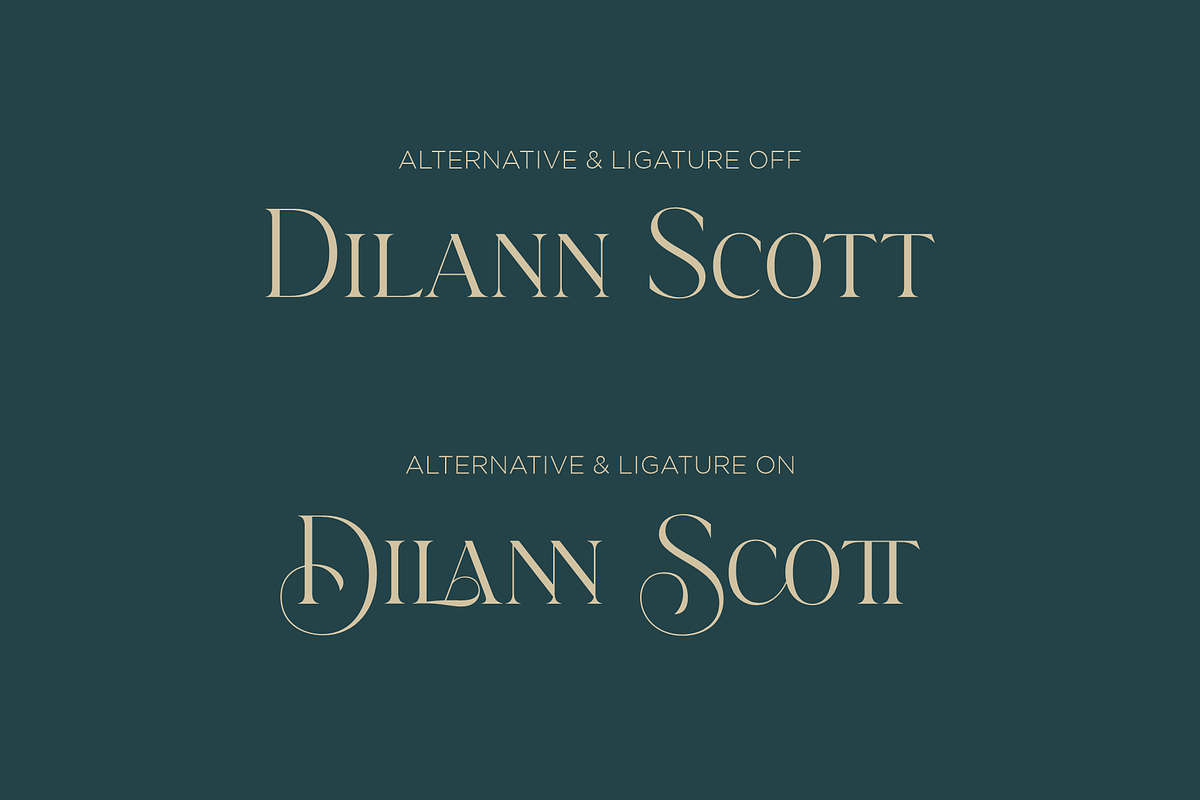 Brattons - Stylistic Ligature Serif, a Serif Font by LoneArmy (Photo 7 of 10)