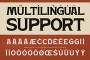 Hardan Vintage - Classic Logo Font, a Serif Font by Nirmana Visual (Thumbnail 7 of 16)