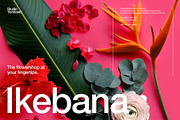 Ikebana Botanical Asset Collection, an Object Graphic by Studio Yorktown (Thumbnail 1 of 15)