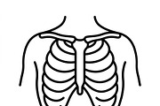 38 Antique Collector Outline Icons, an Outline Icon by adenpinkstore (Thumbnail 14 of 15)