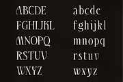 Fedgloya - Elegant Font, a Serif Font by Randi Irvan | Rvandtype (Thumbnail 11 of 13)