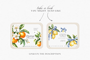 Watercolor Oranges and Bows, a Decorative Illustration by ThaismotaCreativeCo (Thumbnail 9 of 10)