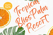 Tropical Splash Modern Handwritten, a Script Font by stylishtype.co (Thumbnail 5 of 20)