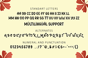 Sans Autumn - Display Font, a Sans Serif Font by Illushvara Design (Thumbnail 7 of 8)
