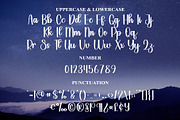 Longday, a Script Font by FreshTypeINK (Thumbnail 6 of 7)
