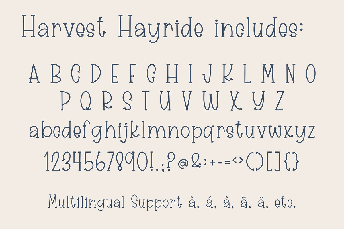 Harvest Hayride, Cute Serif Font, a Serif Font by Designing Digitals (Photo 2 of 7)