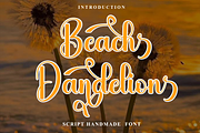 Beach Dandelion, a Handwritten Font by FreshTypeINK (Thumbnail 1 of 8)