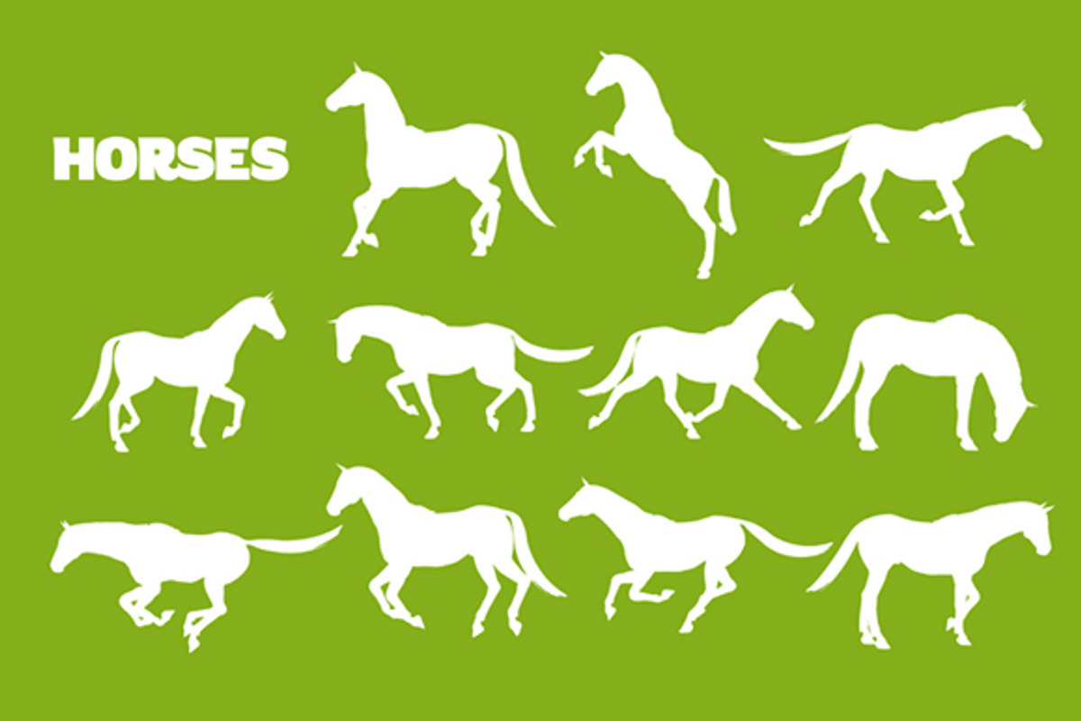 Horses, an Illustration by Albert Does Stuff