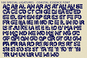 COASTAL ESSENCE - DECORATIVE FONT, a Sans Serif Font by 177Studio (Thumbnail 8 of 8)
