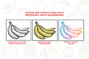 Fruits Illustrations, an Illustration by PicByKate (Thumbnail 3 of 6)