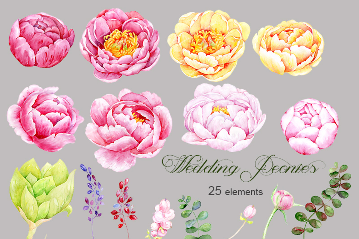 Watercolor clipart Wedding peonies, an Illustration by AqwaColor (Photo 3 of 4)