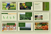 Keynote - Agrogreen Plantation, a Presentation Template by Yolk Vibes (Thumbnail 8 of 9)