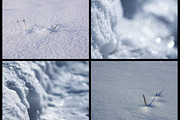 76 winter nature backgrounds, a Nature Photo by pictures for you (Thumbnail 19 of 20)