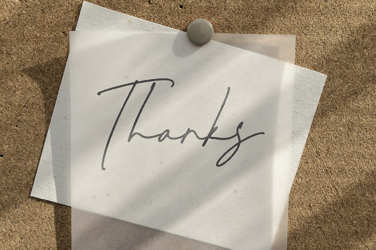 Melisma Signature Font, a Script Font by Timurtype (Photo 7 of 7)