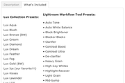 120 Lightroom Preset Ultimate Bundle, an Action Add-On by Uplift Actions (Thumbnail 9 of 12)