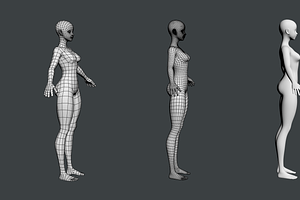 Stylized Female 02 Fine Shape Mesh