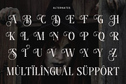 Deadly Sins – Gothic Horror Display, a Serif Font by roomspace creative lab (Thumbnail 7 of 12)