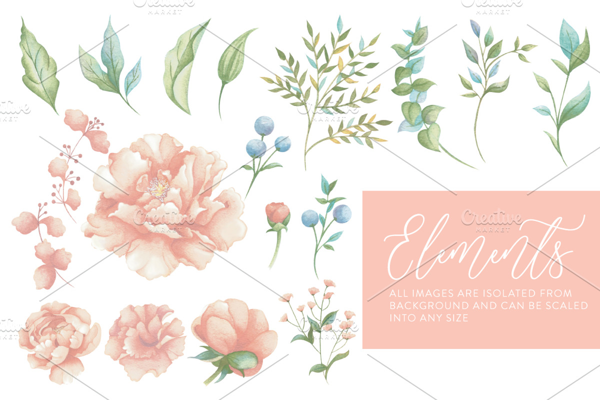 Peaches Peony, an Illustration by Lunabi (Photo 2 of 11)