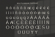 Queen Consort - Serif Font, a Serif Font by Alpaprana (Thumbnail 11 of 12)