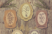 Herbs and spices. Vintage labels set, a Food Illustration by kateja (Thumbnail 6 of 8)