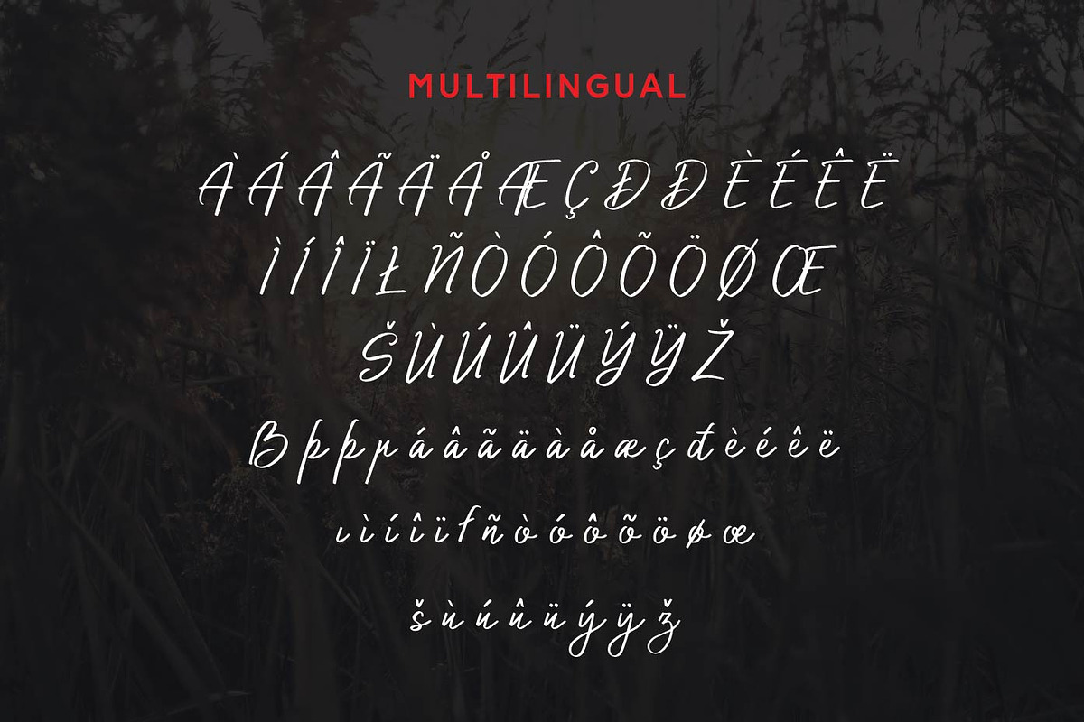 Authorized Signature Script Fonts, a Script Font by Patria Ari (P4tcreativa) (Photo 9 of 10)